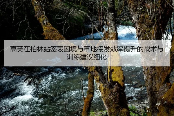 高芙在柏林站签表困境与草地接发效率提升的战术与训练建议细化