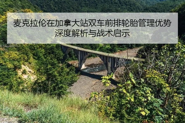 mai-ke-la-lun-zai-jia-na-da-zhan-shuang-che-qian-pai-lun-tai-guan-li-you-shi-shen-du-jie-xi-yu-zhan-shu-qi-shi-2-253.jpg