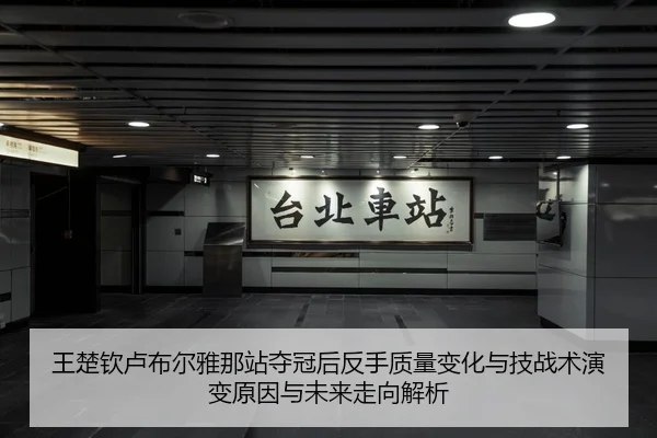 王楚钦卢布尔雅那站夺冠后反手质量变化与技战术演变原因与未来走向解析